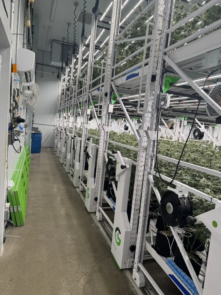 Grow display